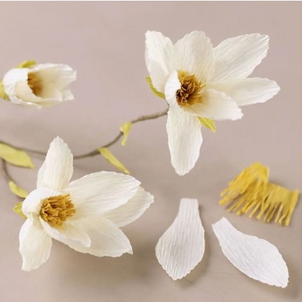 Kūrybinis mini rinkinys CCH - popieriaus gėlėms Mini Craft Kit Crepe paper Magnolia 