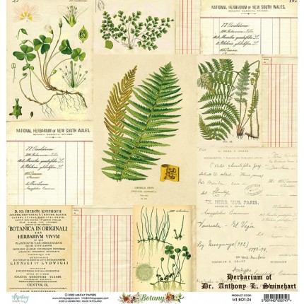 Skrebinimo popierius Mintay - Botany - 04, 30.5x30.5cm, 240g/m², 1vnt