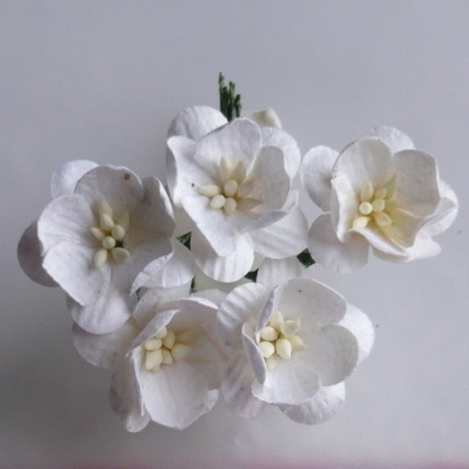 Popierinės gėlytės Promlee Flowers - White Cherry Blossoms SAA-056, 25mm, 10vnt.