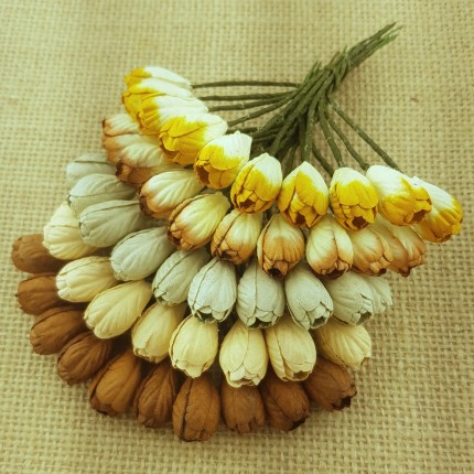 Popierinės gėlytės Promlee Flowers - Mixed Earth Tone Tulip SAA-126, 10mm, 10vnt.
