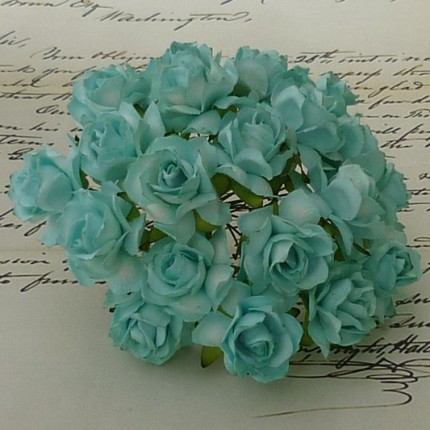 Popierinės gėlytės Promlee Flowers - Aqua-White Wild Roses SAA-231-30, 30mm, 10vnt.