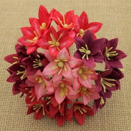 Popierinės gėlytės Promlee Flowers - Mixed Red Lily SAA-330, 25mm, 10vnt.