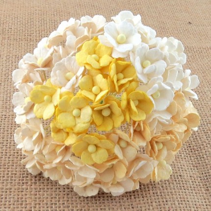 Popierinės gėlytės Promlee Flowers - Mixed White-Cream Sweetheart Blossom SAA-354, 15mm, 10vnt.