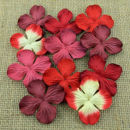 Popierinės gėlytės Promlee Flowers - Mixed Red Hydrangea blooms SAA-384-25, 25mm, 100vnt.