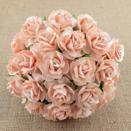 Popierinės gėlytės Promlee Flowers - Peach Wild Roses SAA-426-30, 30mm, 10vnt.