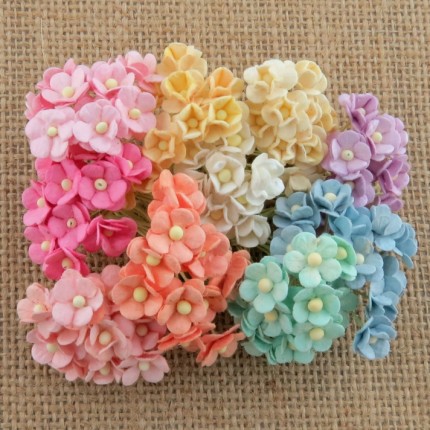 Popierinės gėlytės Promlee Flowers - Mixed Pastel Miniature Sweetheart Blossom SAA-441, 10mm, 20vnt.