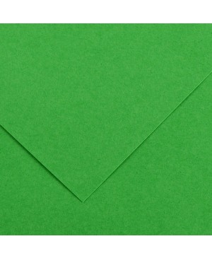 Spalvotas popierius Canson Vivaldi, 50x65cm, 240 g/m², Bright Green 29