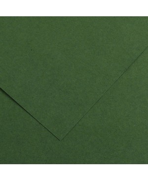 Spalvotas popierius Canson Vivaldi, 50x65cm, 240 g/m², Forest Green 31