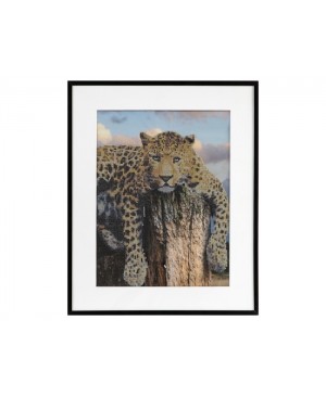 Deimantinės mozaikos rinkinys - Craft Sensations Diamond Painting - Leopard, 40x50cm