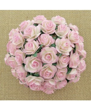 Popierinės gėlytės Promlee Flowers - 2-tone Baby Pink/ Ivory Open Roses SAA-030-15, 15mm, 10vnt
