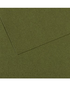 Popierius pastelei Canson Mi-Teintes, 50x65cm, 160 g/m², Ivy 448