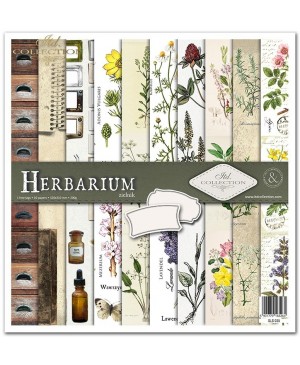 Skrebinimo popieriaus rinkinys ITD - Herbarium, 31x32cm, 10 lapų, 200 g/m²
