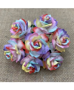 Popierinės gėlytės Promlee Flowers - Rainbow Colored Wild Roses SAA-530-30, 30mm, 10vnt.