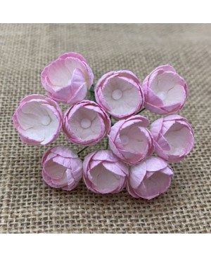 Popierinės gėlytės Promlee Flowers - 2-tone Baby Pink Buttercups SAA-543, 25mm, 10vnt