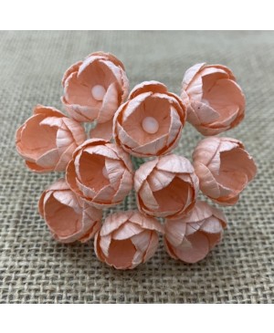 Popierinės gėlytės Promlee Flowers - Peach Buttercups SAA-552, 25mm, 10vnt