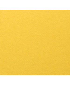 Popierius pastelei Lana Colours, A4, 160 g/m², Canary 131