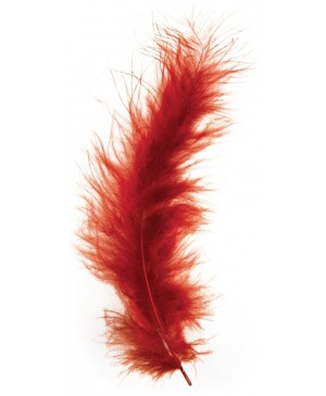Plunksnos dekoratyvios, ypač purios 10-15cm, raudonai ruda, 15vnt