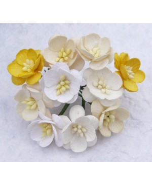 Popierinės gėlytės Promlee Flowers - Mixed White-Cream Cherry Blossoms SAA-242, 25mm, 10vnt.