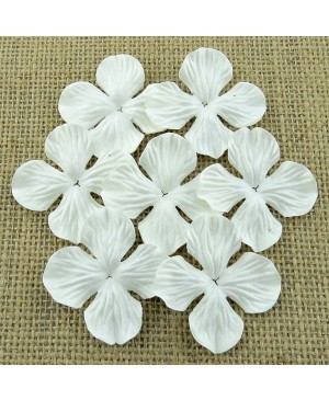 Popierinės gėlytės Promlee Flowers - White Hydrangea blooms SAA-393-25, 25mm, 20vnt.