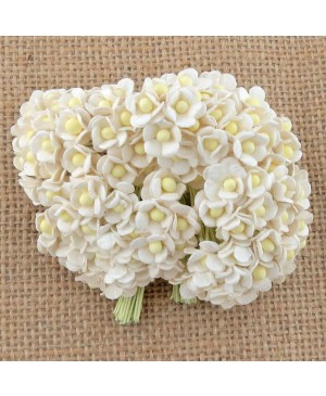 Popierinės gėlytės Promlee Flowers - Miniature White Sweetheart Blossom SAA-439, 10mm, 20vnt.