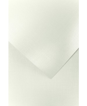 Popierius Holland Diamond White A4, 230 g/m², baltas žvilgus reljefinis, 1 vnt.