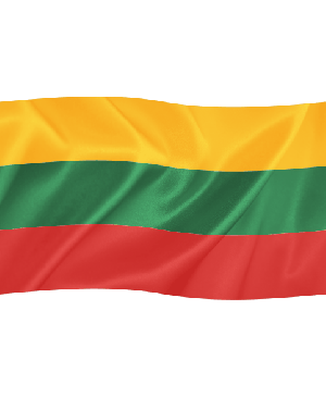 Lietuvos valstybinė vėliava, 1m x 1,70m
