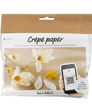 Kūrybinis mini rinkinys CCH - popieriaus gėlėms Mini Craft Kit Crepe paper Magnolia 