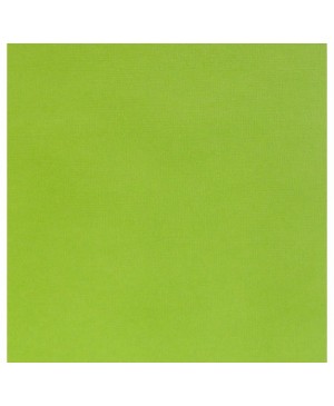 Popierius Silhouette, 30.5x30.5cm, lipnus, pistacijų žalios sp., 1 lapas      