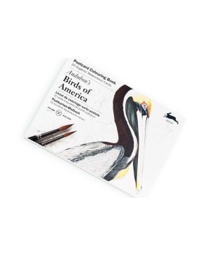 Atvirukai meniniam spalvinimui Pepin Press - Audubon's Birds of America, 20vnt