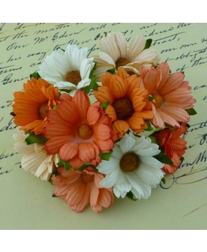 Popierinės gėlytės Promlee Flowers - Mixed Peach / Orange / White Chrysanthemums SAA-268, 45mm, 10vnt.