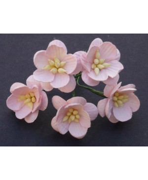Popierinės gėlytės Promlee Flowers - Pale Pink Cherry Blossoms SAA-053, 25mm, 10vnt.