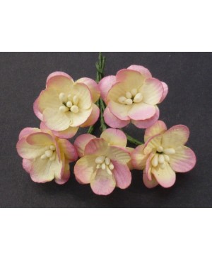 Popierinės gėlytės Promlee Flowers - Champagne Pink Cherry Blossoms SAA-055, 25mm, 10vnt.