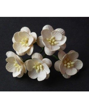 Popierinės gėlytės Promlee Flowers - Deep Ivory Cherry Blossoms SAA-058, 25mm, 10vnt.