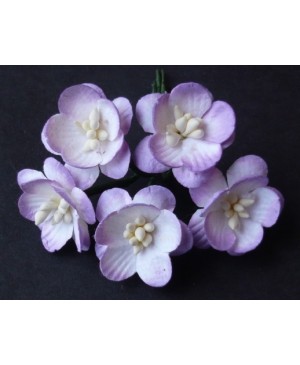 Popierinės gėlytės Promlee Flowers - Lilac-White Cherry Blossoms SAA-064, 25mm, 10vnt.