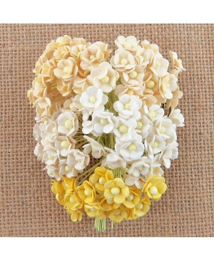 Popierinės gėlytės Promlee Flowers - Mixed White-Cream Miniature Sweetheart Blossom SAA-106, 10mm, 20vnt.