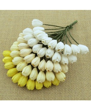 Popierinės gėlytės Promlee Flowers - Mixed White-Cream Tulip SAA-125, 10mm, 10vnt.
