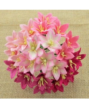 Popierinės gėlytės Promlee Flowers - Mixed Pink Lily SAA-133, 25mm, 10vnt.