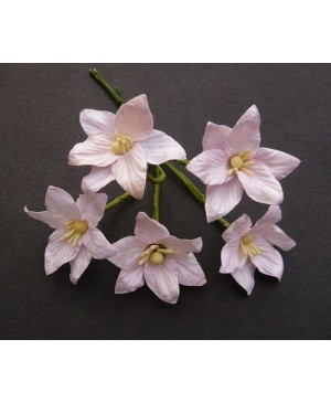 Popierinės gėlytės Promlee Flowers - Baby Pink Lily SAA-140, 25mm, 10vnt.