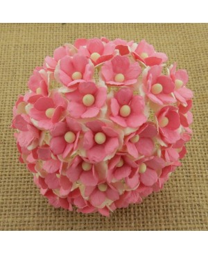 Popierinės gėlytės Promlee Flowers - Pink-White Sweetheart Blossom SAA-202, 15mm, 10vnt.