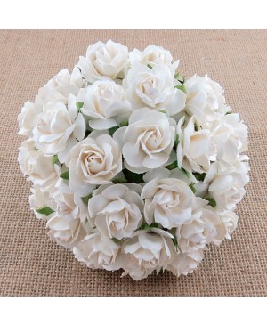 Popierinės gėlytės Promlee Flowers - White Wild Roses SAA-237-30, 30mm, 10vnt.