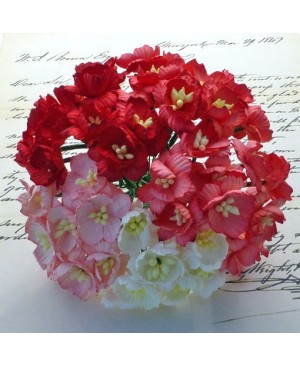 Popierinės gėlytės Promlee Flowers - Mixed Red-White Cherry Blossoms SAA-243, 25mm, 10vnt.