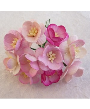 Popierinės gėlytės Promlee Flowers - Mixed Pink Cherry Blossoms SAA-244, 25mm, 10vnt.