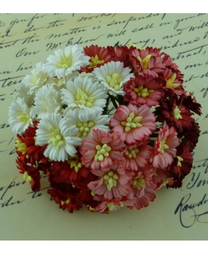 Popierinės gėlytės Promlee Flowers - Mixed Red-White Cosmos Daisy SAA-251, 25mm, 10vnt.