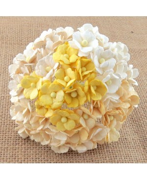 Popierinės gėlytės Promlee Flowers - Mixed White-Cream Sweetheart Blossom SAA-354, 15mm, 10vnt.