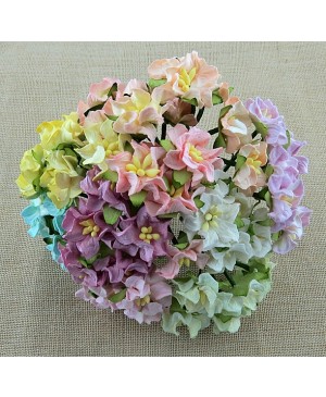 Popierinės gėlytės Promlee Flowers - Mixed Colour Miniature Gardenia SAA-358, 25mm, 10vnt.
