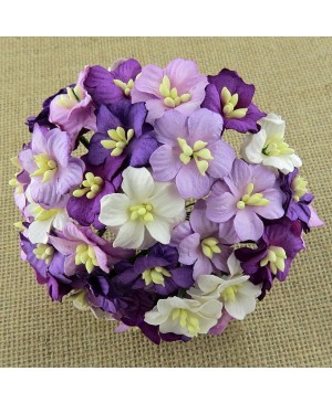 Popierinės gėlytės Promlee Flowers - Mixed Purple Apple Blossoms SAA-418, 20- 25mm, 10vnt.