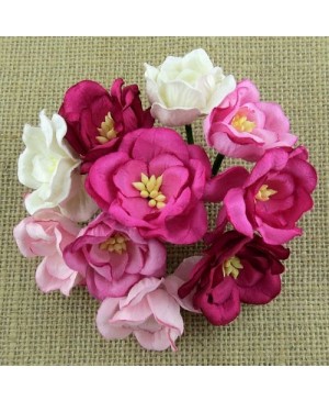 Popierinės gėlytės Promlee Flowers - Mixed Pink Magnolias SAA-421, 35mm, 10vnt.