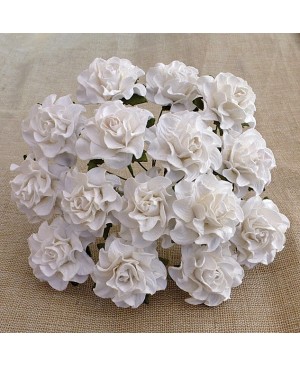 Popierinės gėlytės Promlee Flowers - White Tuscany Roses SAA-446-30, 30mm, 5vnt.