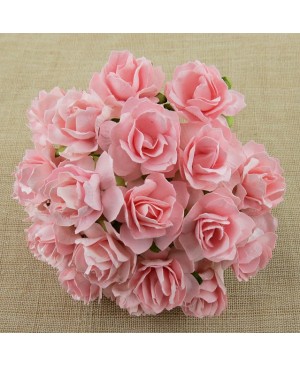 Popierinės gėlytės Promlee Flowers - Pale Pink Wild Roses SAA-487-30, 30mm, 10vnt.