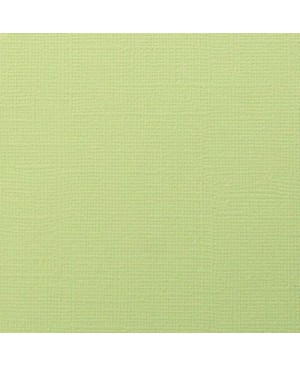Faktūrinis skrebinimo popierius Scrapberry's - Mint Green, 230 g/m², 30.5x30.5cm, 1vnt.